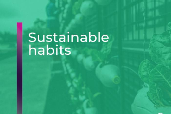 Sustainability | conscious habits respectful with the environment